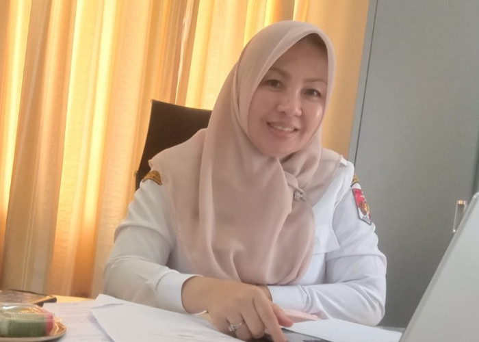 Pelantikan 4.835 PPPK Paruh Waktu Lampung Utara Tertunda Gara-gara Berkas