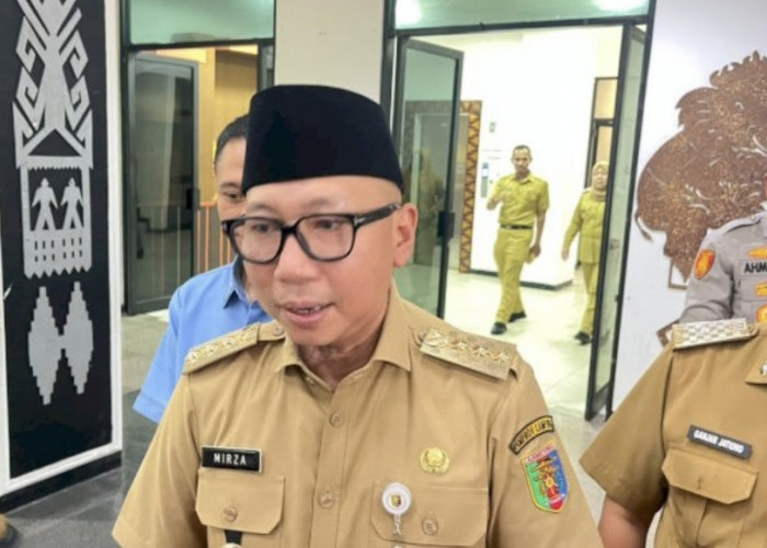 Hujan Redakan Kebakaran TNWK, Gubernur Mirza Ungkap Kendala Pemadaman di Lahan Gambut