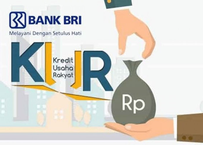 KUR BRI Bantu UMKM di Kayuagung Kembangkan Usaha