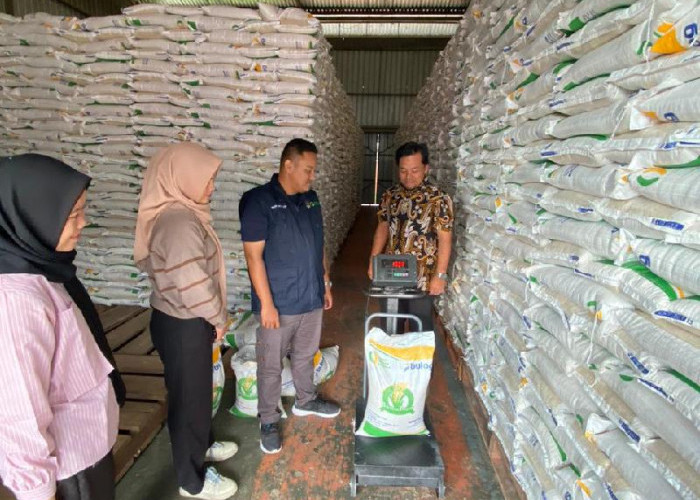 Sambangi Gudang Bulog Liwa DKPP Pesbar Pastikan Persiapan Penyaluran Bantuan