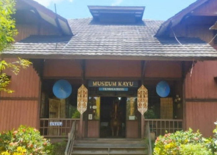 Museum Kayu Tuah Himba: Simfoni Hutan, Seni, dan Budaya Kalimantan Timur