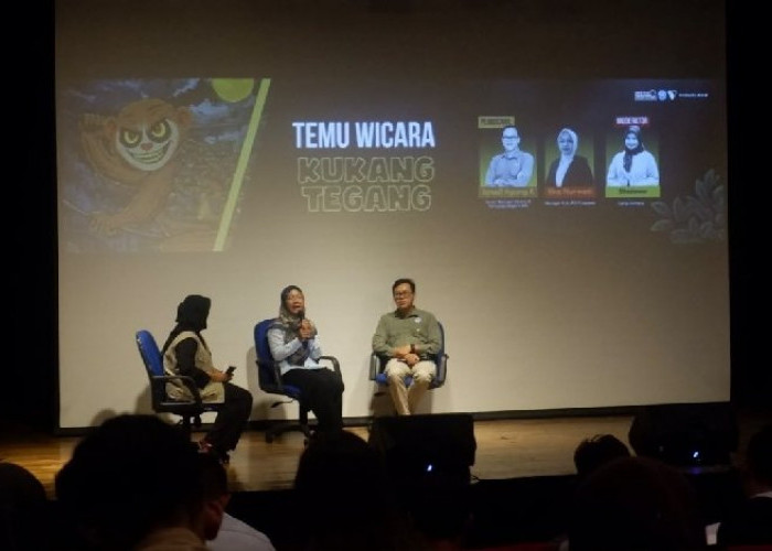 Sinergi PLN dan Lembaga Konservasi Dorong Perlindungan Kukang dari Elektrokusi 