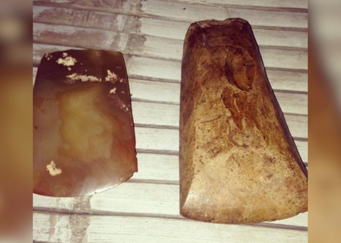 Kapak Genggam: Alat Batu Penting dalam Kehidupan Manusia Purba