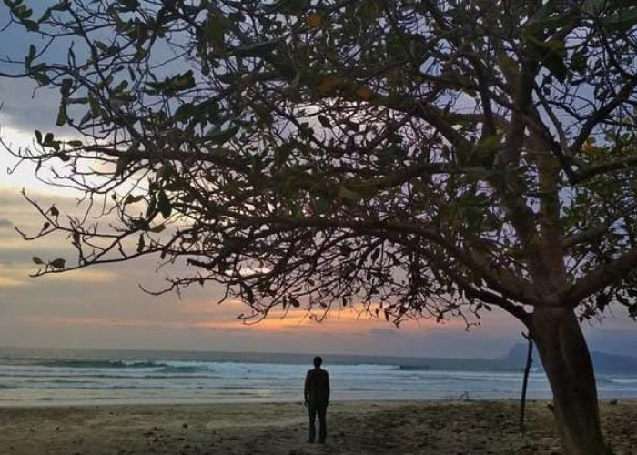 Triangulasi, Permata Tersembunyi di Rimba Alas Purwo