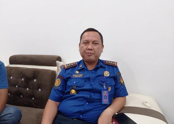 Awal 2026, Damkarmat Bandar Lampung Dominan Tangani Evakuasi Sarang Tawon