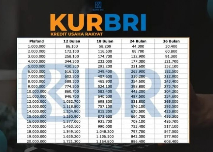 Cicilan Ringan KUR BRI 2025, UMKM Bisa Pinjam Sampai Rp75 Juta