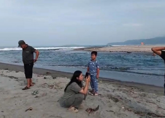 Tenggelam di Muara Way Krui, Bocah 12 Tahun Ditemukan Tak Bernyawa