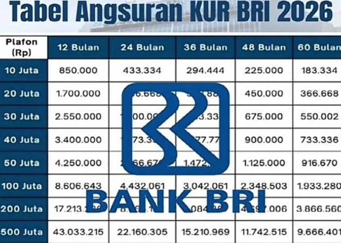 Simulasi KUR BRI 2026: Gambaran Lengkap Cicilan Pinjaman Rp 100 Juta untuk UMKM