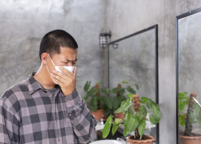 Tanaman Hias Pengusir Bau, Bikin Ruangan Segar dan Nyaman