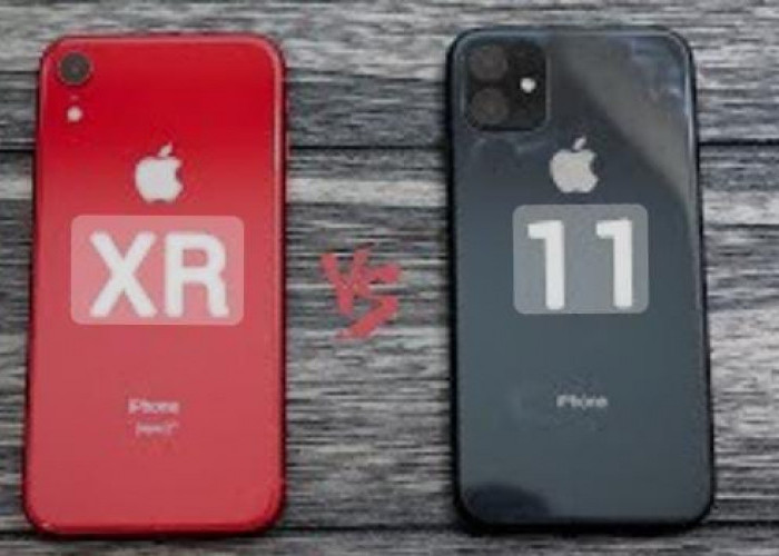 Ini Kekurangan iPhone 11 Jika Dibandingkan dengan iPhone XR