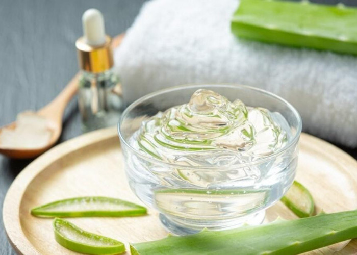 Lidah Buaya untuk Rambut: Herbal Alami untuk Rambut Lebih Sehat dan Kuat