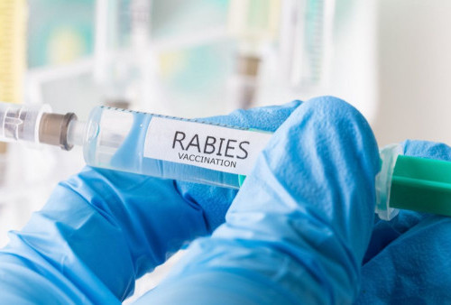 Stok Menipis, Disbunnak Ajukan 3.000 Dosis Vaksin Rabies