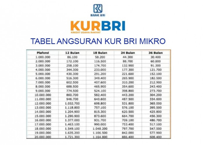 UMKM Harus Tahu, Begini Cara Lolos Pengajuan KUR BRI 2025 di Bulan Desember
