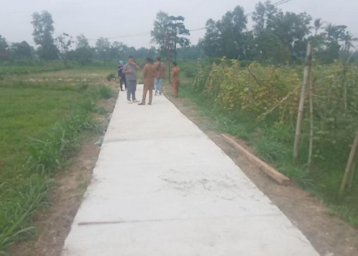 Permudah Akses Pertanian Pemerintah Desa Margakaya Bangun Jalan Usaha Tani 