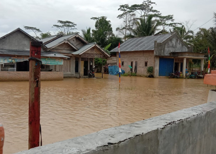 Bencana Banjir dan Longsor di Suoh-BNS, Total Puluhan Rumah dan Fasilitas Umum Terdampak 