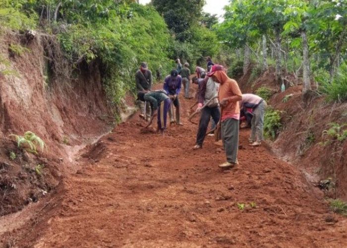 Gotong Royong Warga Sidodadi Rawat Jalan Tanah Merah demi Kelancaran Akses