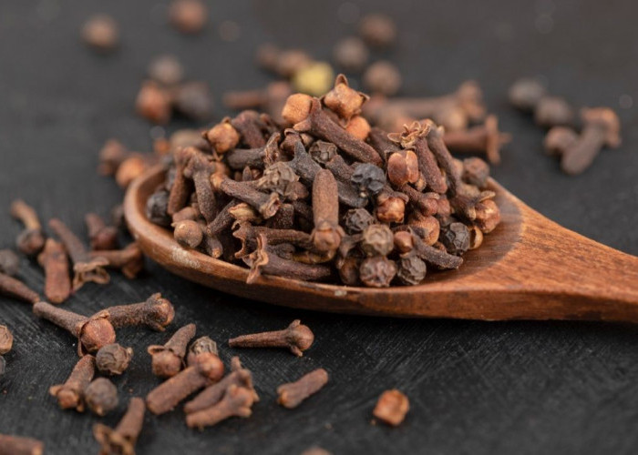 Rahasia Rempah Tradisional untuk Kulit Cerah, Rambut Kuat, dan Wajah Awet Muda