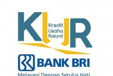 Simulasi KUR BRI 2026: Pinjaman Rp 10 Juta hingga Rp 50 Juta dengan Cicilan Terjangkau