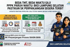 Beda TMT, Beda Waktu Gaji PPPK Paruh Waktu Lampung Selatan