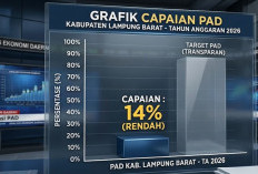 PAD Lampung Barat Baru 14,32 Persen, Dividen BUMD Jadi Penopang Utama