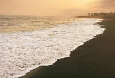 Pesona Pasir Hitam Pantai Watu Pecak, Destinasi Eksotis Favorit Wisata Keluarga