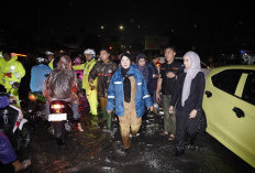 Respons Cepat Wali Kota Hadapi Dampak Hujan Deras, Pemkot Bandar Lampung Siapkan Solusi Jangka Panjang