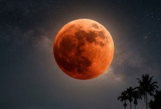 Gerhana Bulan Total 3 Maret 2026 Berapa Lama? Ini Rincian Durasi dari BMKG