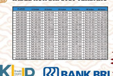 Simulasi Cicilan KUR BRI 2026 Plafon Rp30 Juta, Angsuran Ringan Jadi Andalan UMKM