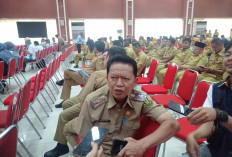 Pemkot Bandar Lampung, Ajukan 200 Formasi CPNS 2026 untuk Perkuat Layanan Publik