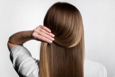 Zat Gizi Penting yang Wajib Dipenuhi Setiap Hari untuk Rambut Sehat