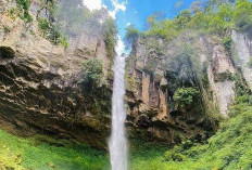 Curup Putri Malu, Oase Alami di Way Kanan yang Menawarkan Keindahan Hutan Tropis