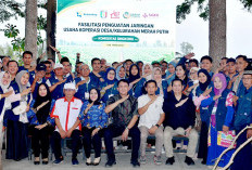 Kemenkop Perkuat Jaringan Koperasi Singkong dan MOCAF di Kabupaten Pringsewu