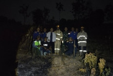 Kebakaran Lahan di Campang Jaya, Damkarmat Bandar Lampung Lakukan Pendinginan