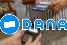 Nomor HP Hilang atau Tidak Aktif, Begini Cara Memulihkan dan Login Kembali ke Akun DANA
