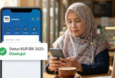 Cara Cek Status KUR BRI 2025 Lewat Ponsel Menjelang Akhir Tahun
