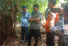 Bupati Lampung Utara Tinjau Lokasi Pencarian Warga Hilang di Sungai Way Sesah