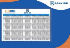 KUR BRI Rp20 Juta Masih Tersedia hingga Akhir 2025, UMKM Diimbau Segera Ajukan