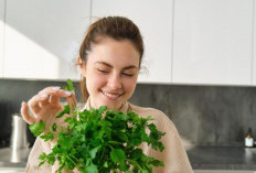 Jarang Diketahui, Daun Seledri Ternyata Baik untuk Kesehatan Kulit