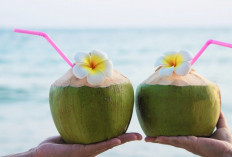 Jangan Salah Sangka, Ini Manfaat Dugan yang Jarang Diketahui