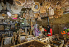 BRI Genjot KUR Rp31,42 Triliun: Nafas Baru UMKM dan Ekonomi Kerakyatan 2026