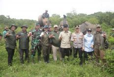 Dari 11 Km Jadi 138 Km, Solusi Besar Atasi Konflik di Way Kambas