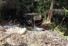 Truk Bermuatan Pupuk Masuk Jurang di Jalinsum TNBBS, Sopir Alami Luka Ringan