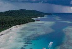 Pulau Maratua, Surga Bahari Tersembunyi dengan Pesona Laut yang Memikat
