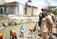 Wali Kota Bandar Lampung Tinjau Drainase Tanjung Senang, Pastikan Aliran Air Tetap Lancar