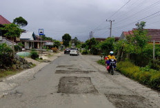 Ruas Liwa–Ranau Dirawat Intensif, UPTD Fokus Perbaikan Jalan dan Drainase