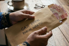 BREAKING NEWS! Pemkab Lampung Selatan Klarifikasi Skema Gaji PPPK Paruh Waktu