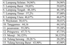 Ketimpangan Jalan di Lampung Kian Menganga, Kabupaten Tertinggal di Tengah Kemajuan Provinsi