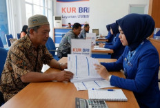 Rincian Bunga KUR BRI 2026 dan Dampaknya pada Cicilan UMKM