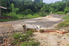 TPS Jalan Sukarno Hatta Hilang, DLH Lampung Utara Buka Suara