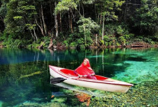 Telaga Biru Tulung Ni Lenggo, Oase Sunyi di Rimba Kalimantan Timur yang Memikat Hati